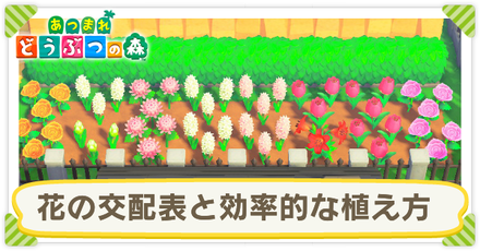 あつ森】花の交配表と効率的な植え方【あつまれどうぶつの森】｜ゲーム