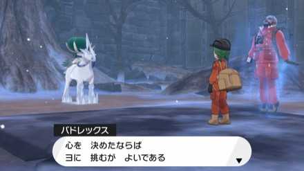 ポケモン剣盾 バドレックスの種族値と覚える技 白馬と黒馬 冠の雪原 ゲームエイト