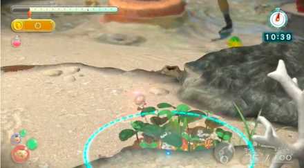 ピクミンを集めつつ開拓