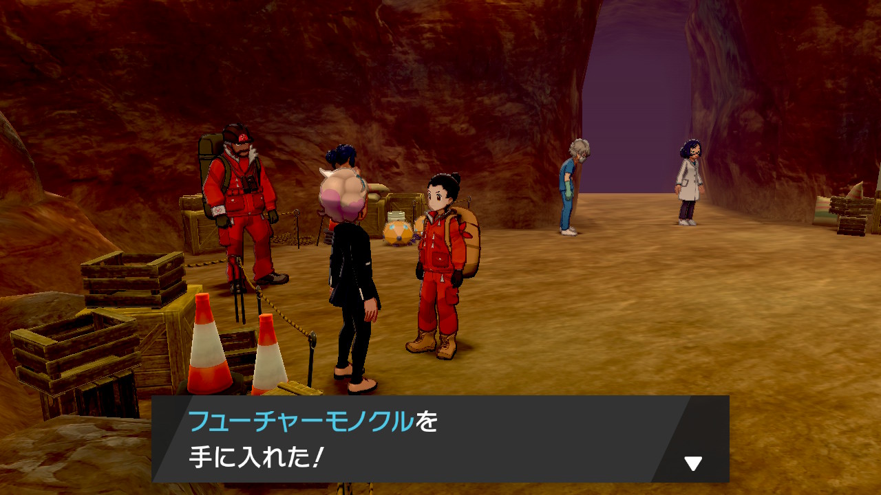 ポケモン冠の雪原 クリア後のやりこみ要素まとめ 剣盾 ゲームエイト