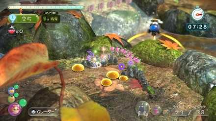 大地のエキスを吸わせるのが重要