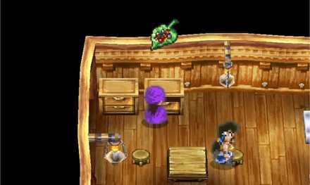 タンスの中からやくそう入手