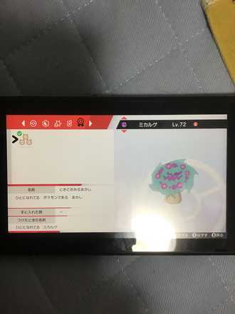 コメント画像