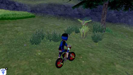 ビリジオンの出現場所