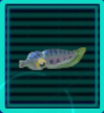 ウオノコのアイコン