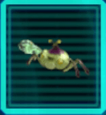 カニタマのアイコン