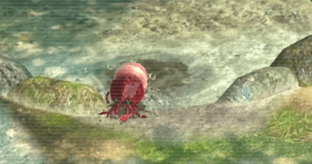 シャコモドキのアイコン