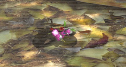 ウスバミツモチのアイコン