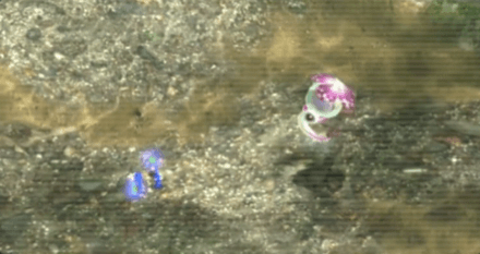 テンテンチャッピーのアイコン