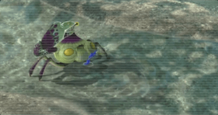 カニタマのアイコン