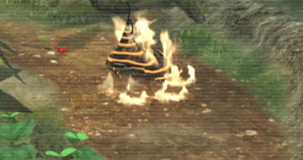 カジオコシのアイコン