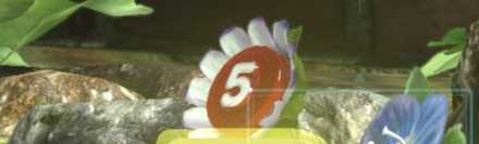 ピクミンを増やす