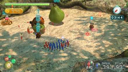 原生生物が果実を持っていることもある