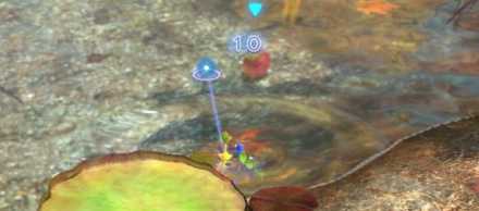 水中にある果実