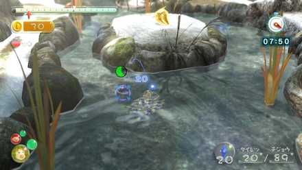 水上の高い所にある果実