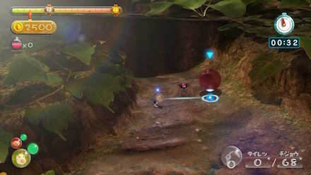 穴に埋まった果実