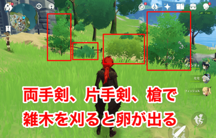 フィールドの雑木を刈ると鳥の卵が出ることがある