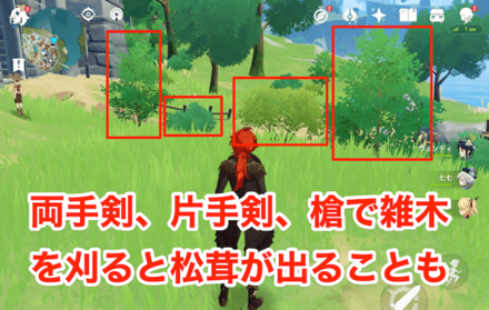 フィールドの雑木を刈ると松茸が出ることがある