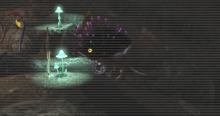 オオバケカガミ