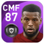 FPジョルジニオ・ワイナルドゥム(11/2)の画像