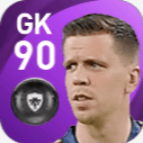 FPヴィツェフ・シュチェスニ(11/2)の画像