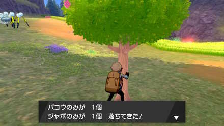 巨人の寝床で木を揺らして入手