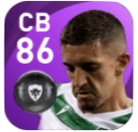 FPズハイル・フィダル(11/5)の画像