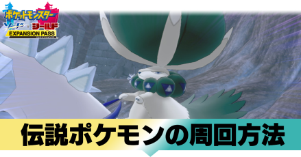 ポケモン剣盾 サブ垢