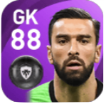 FPルイ・パトリシオ(11/9)の画像