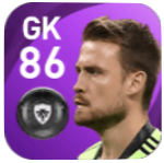 FPシモン・ミニョレ(11/9)の画像