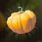 ヨロイカボチャ画像