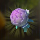 ヨロイソウ画像