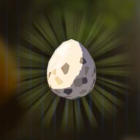 トリのタマゴ画像