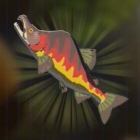 マックスサーモン画像