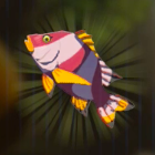 ツルギダイ画像