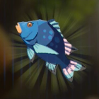 ヨロイダイ画像