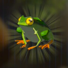 ゴーゴーガエル画像