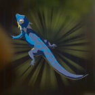 マックストカゲ画像