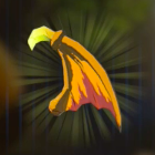 ファイアキースの羽画像