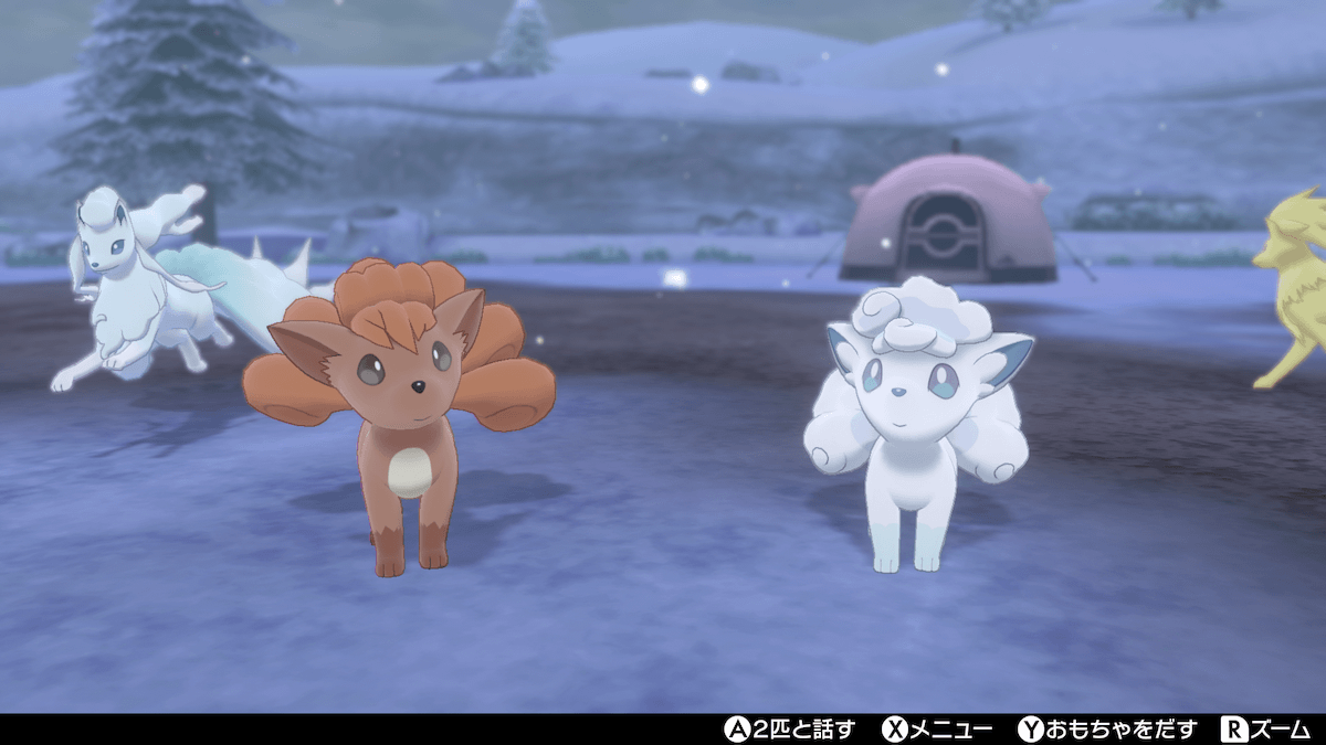 ロコンキャンプ