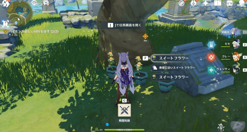 3つ目の材料は宝盗団を倒したあとに採取する