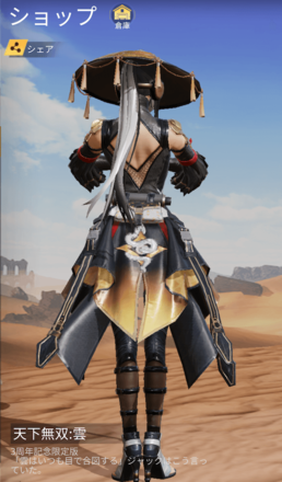 天下無双：雲画像