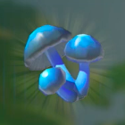 ヒンヤリダケ画像