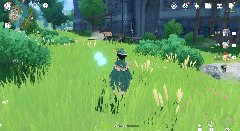 蒲公英の種集め