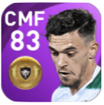 FPペドロ・ゴンサウヴェス(11/12)の画像