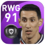 FPアンヘル・ディ・マリア(11/12)の画像