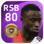 FPルトシャレル・ヘールトルイダ(11/12)の画像