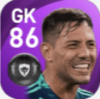 FPジエゴ・アウヴェス(11/12)の画像