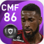 FPジェルソン(11/12)の画像