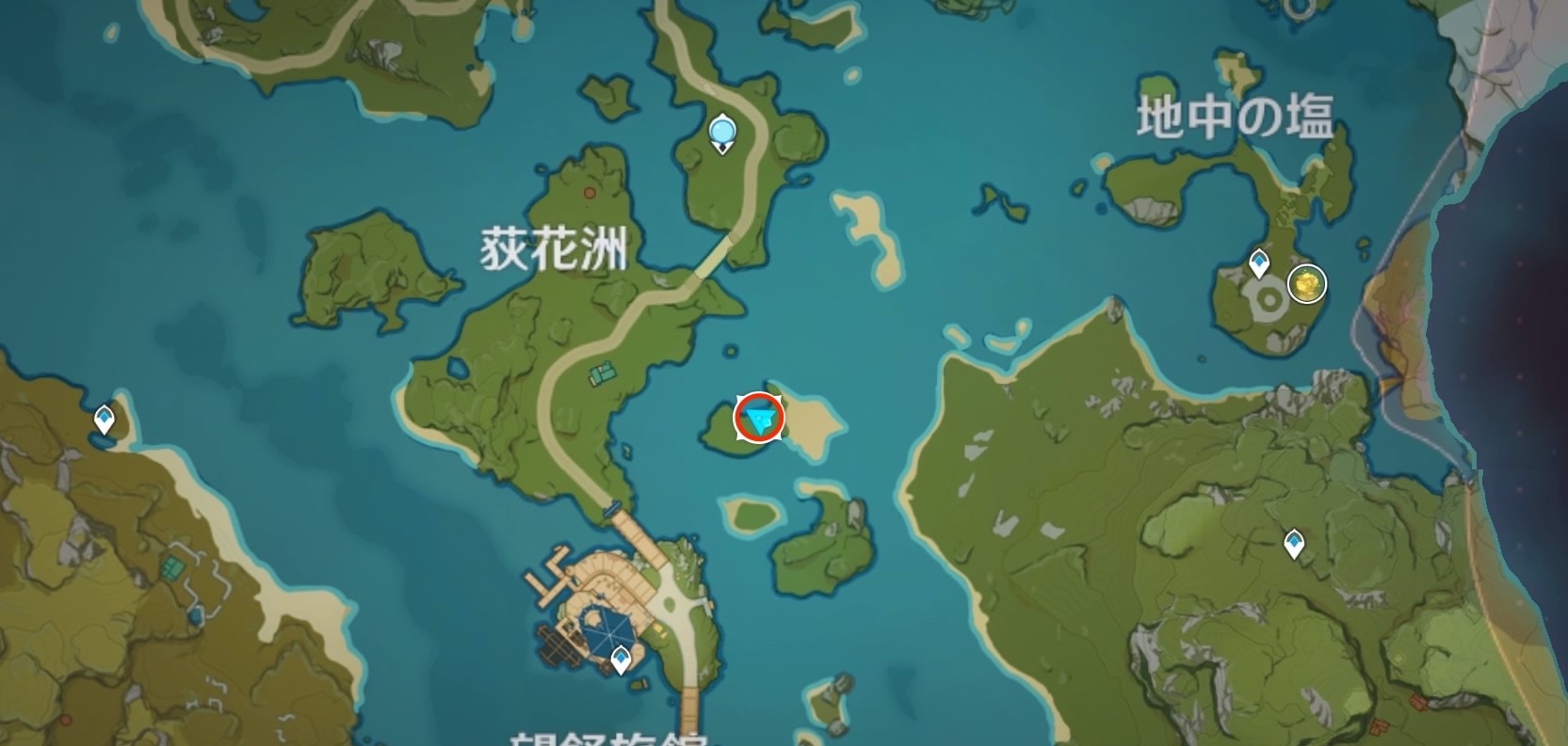 サンショウウオ入手場所